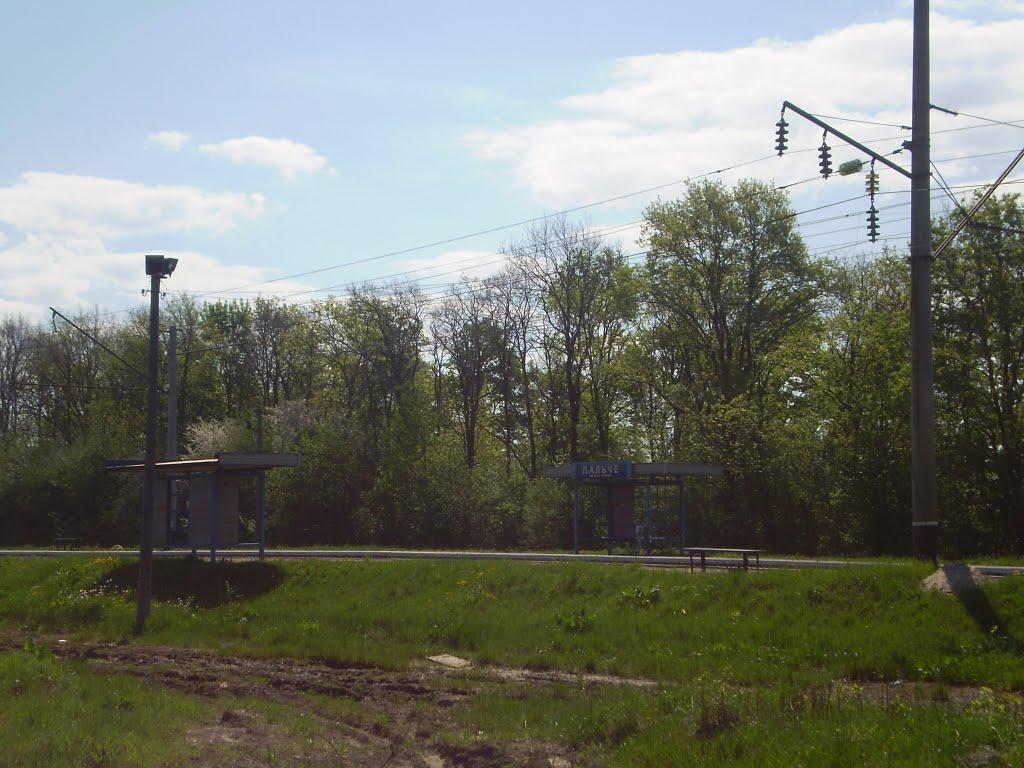 Пальче з panoramio.com - Пальче