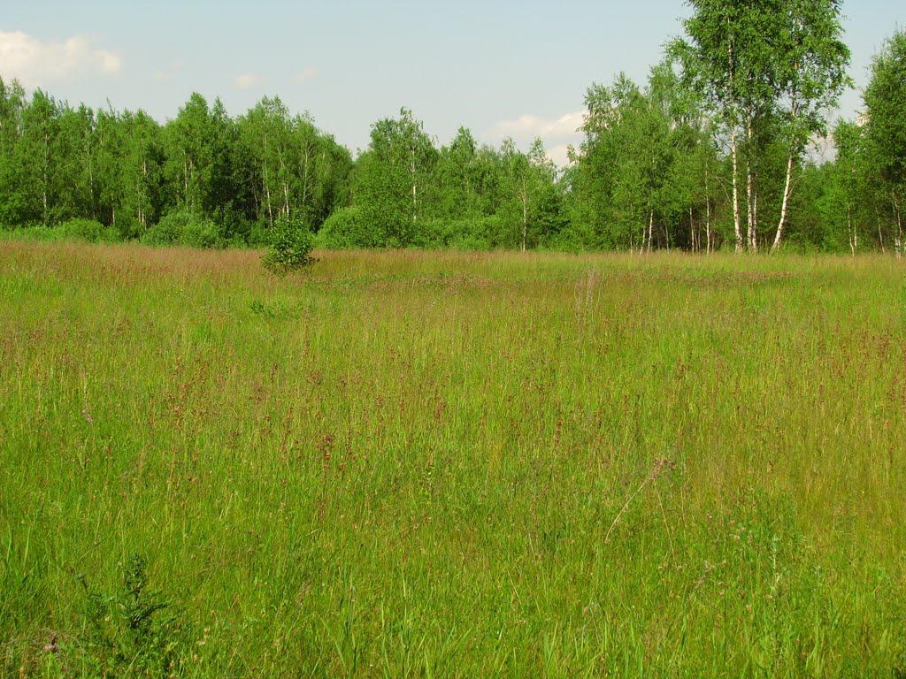 Старий Хмерин з panoramio.com - Старий Хмерин