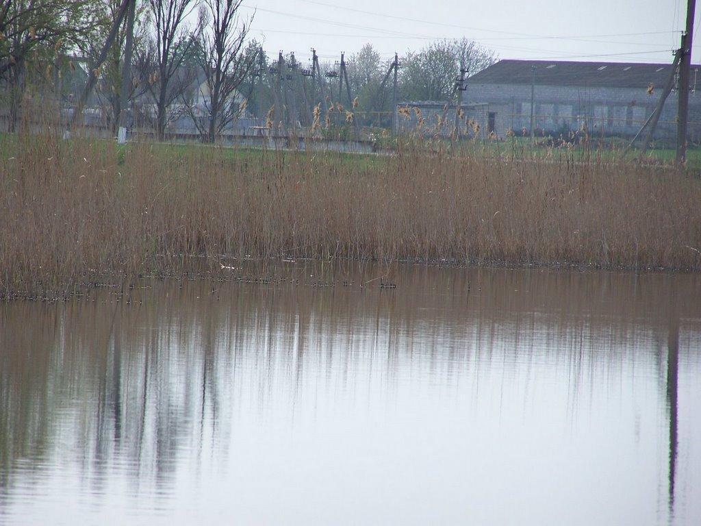 Малоандріївка з panoramio.com - Малоандріївка