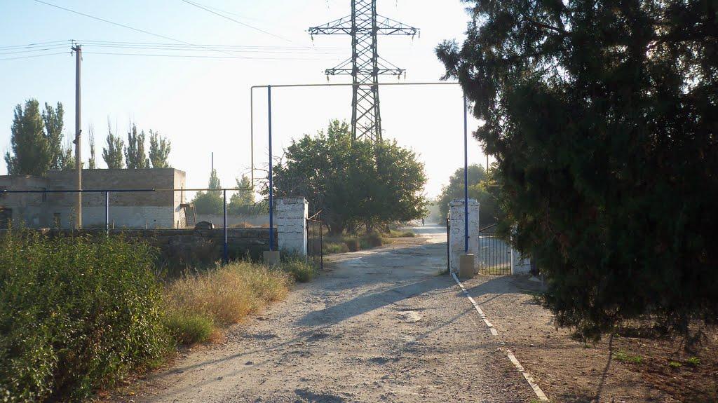 Роздольне з panoramio.com - Роздольне