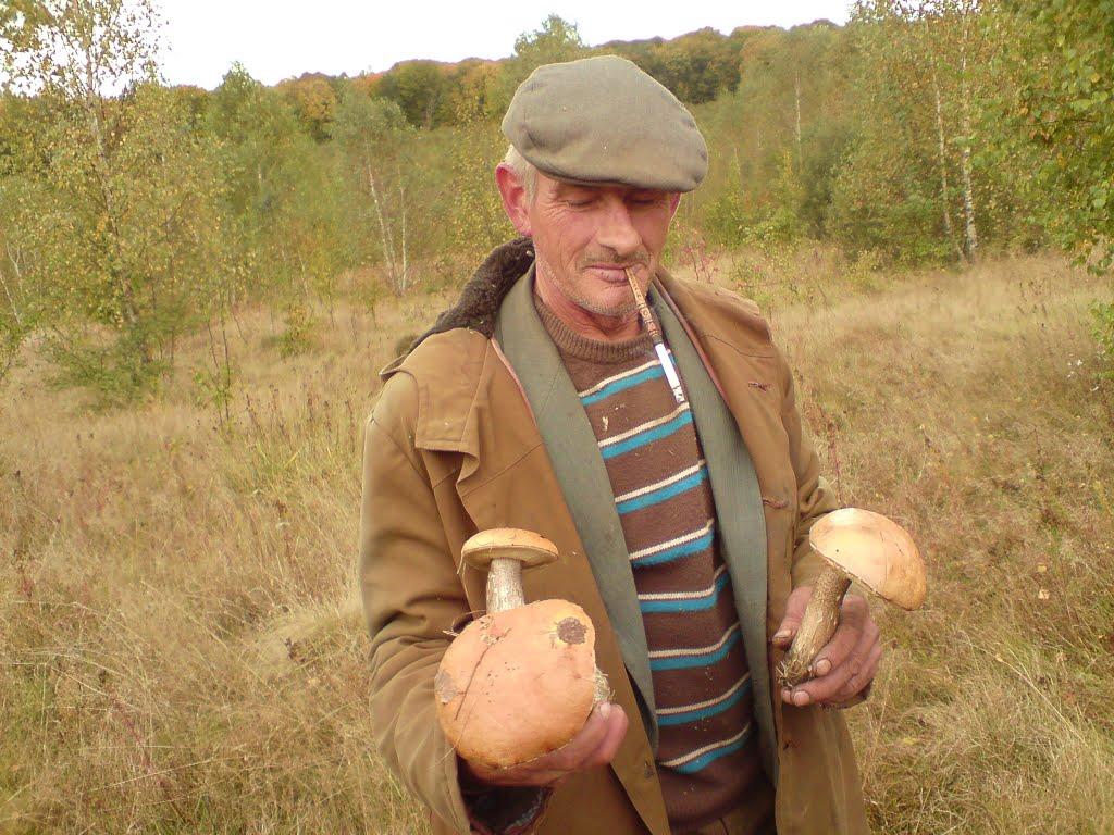 Дуляби з panoramio.com - Дуляби