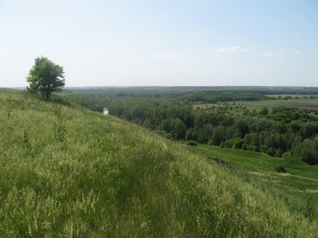 Приліпка з panoramio.com - Прилипка