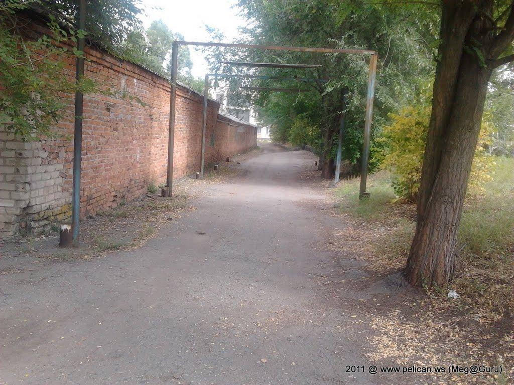 Миколаївка з panoramio.com (ч.2) - Николаевка