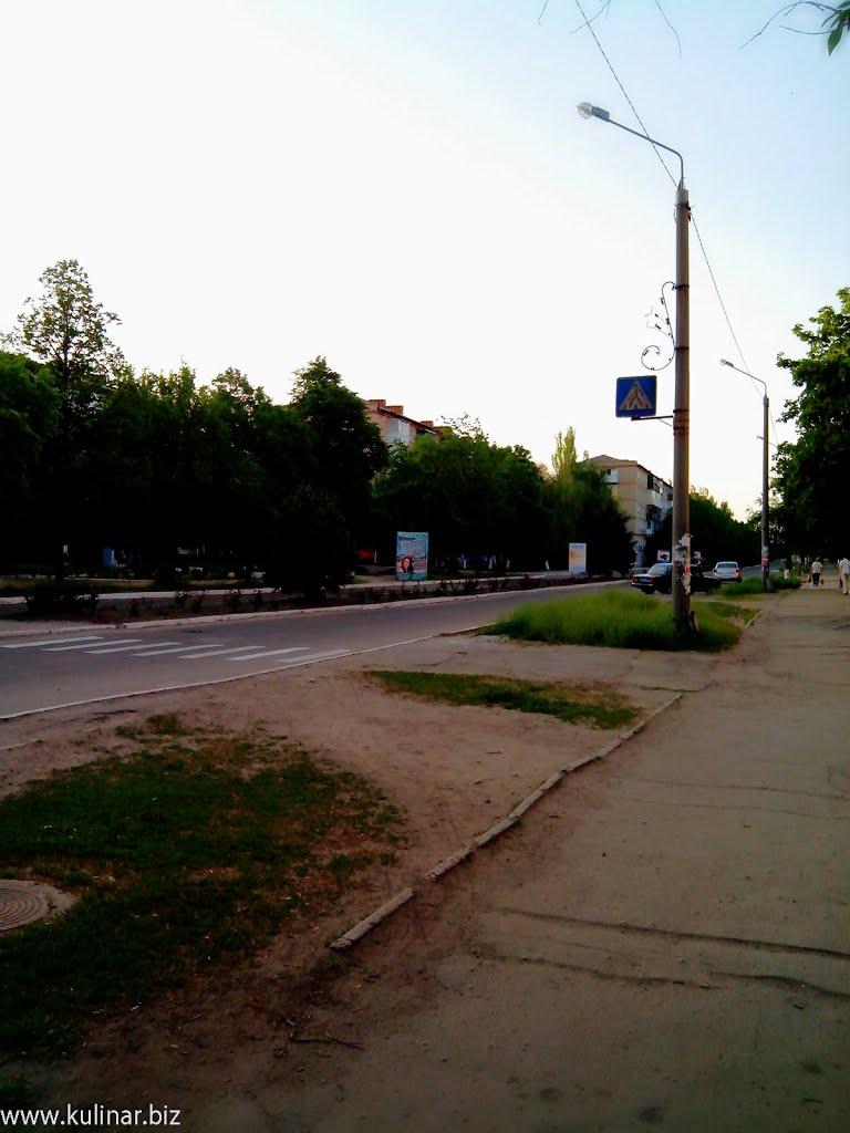 Токмак з panoramio.com - Токмак