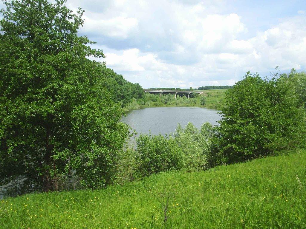 Рокитне з panoramio.com - Рокитне