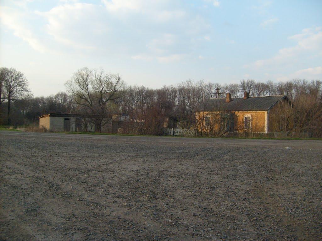 Новодмитрівка з panoramio.com - Новодмитрівка