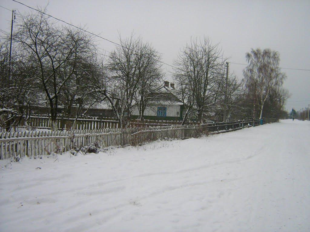 Синове з panoramio.com - Синове