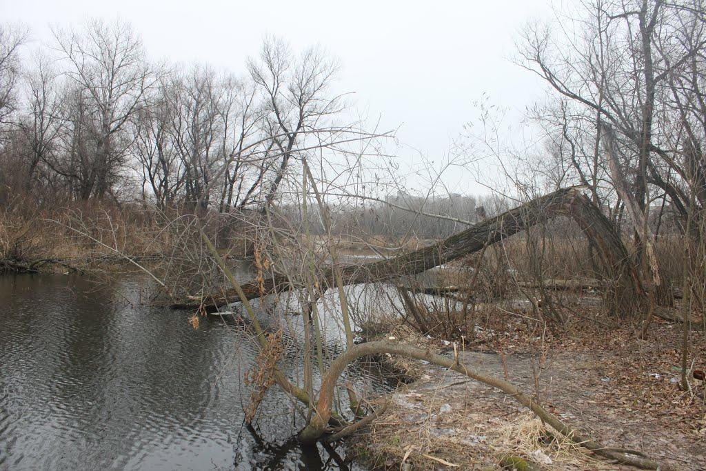 Кіровське з panoramio.com (ч.3) - Обуховка