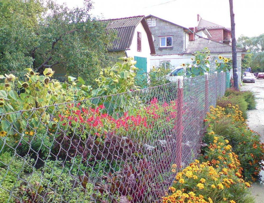 Бережани з panoramio.com - Berezhany