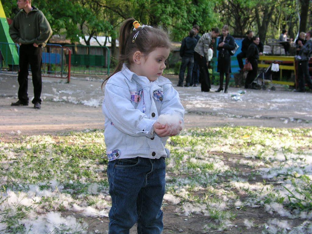 Мелітополь з panoramio.com (ч.2) - Мелитополь