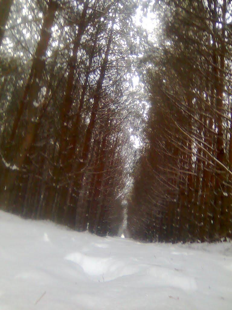 Штунь з panoramio.com - Штунь