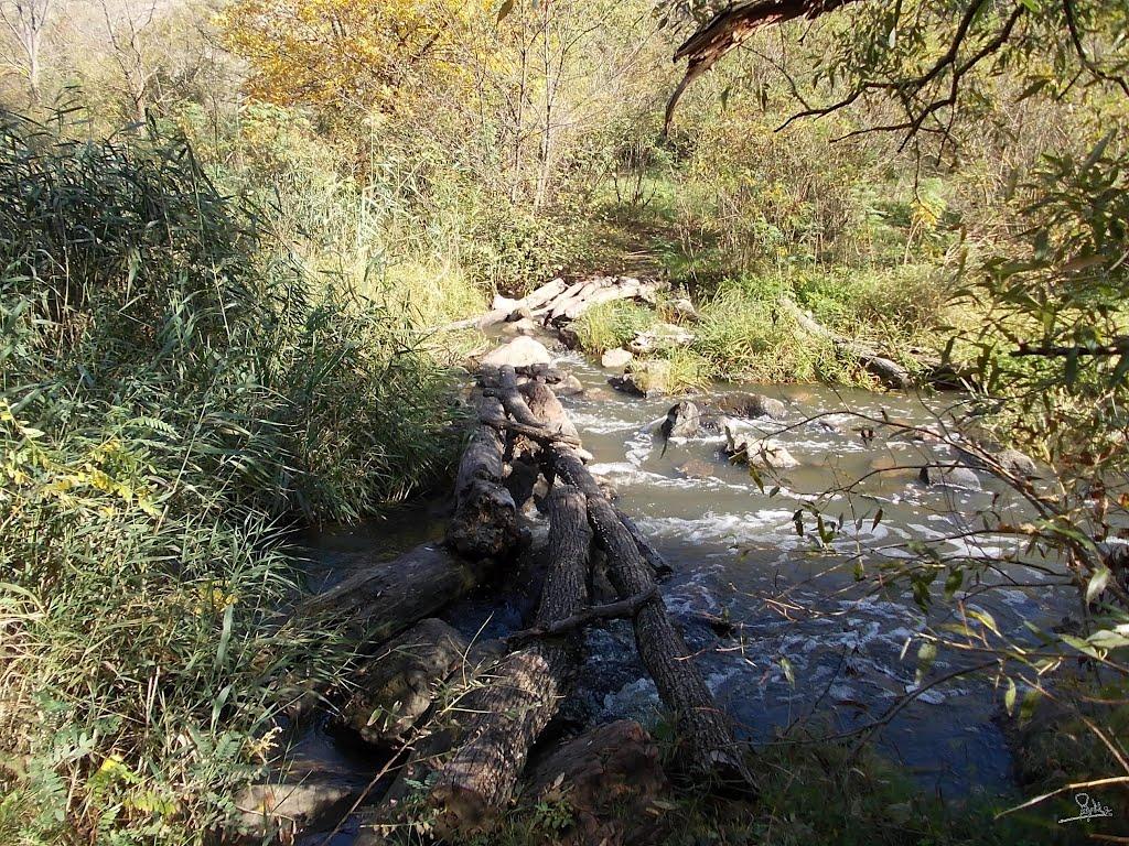 Семенівка з panoramio.com - Семенівка