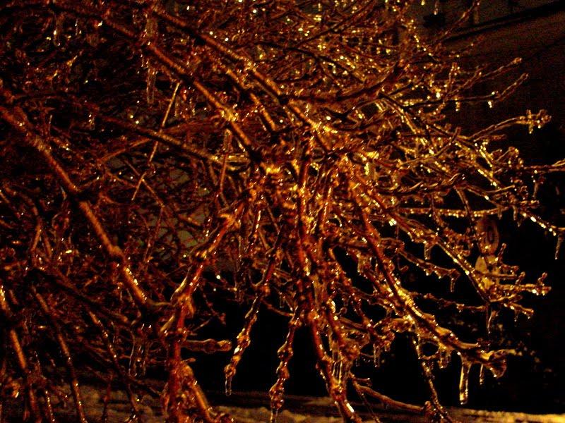 Вілюничі з panoramio.com - Вилюничи