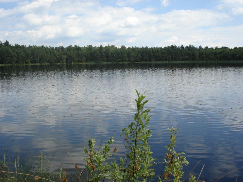 Ниговищі з panoramio.com - Ниговищі