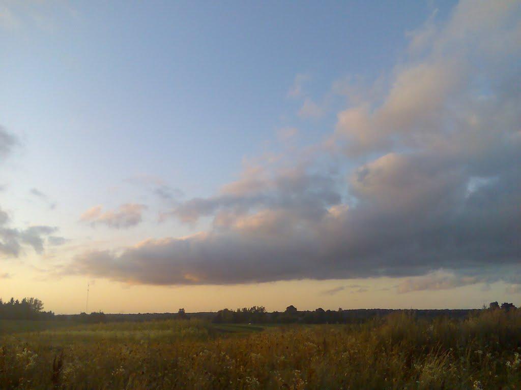 Новоселище з panoramio.com - Новоселище