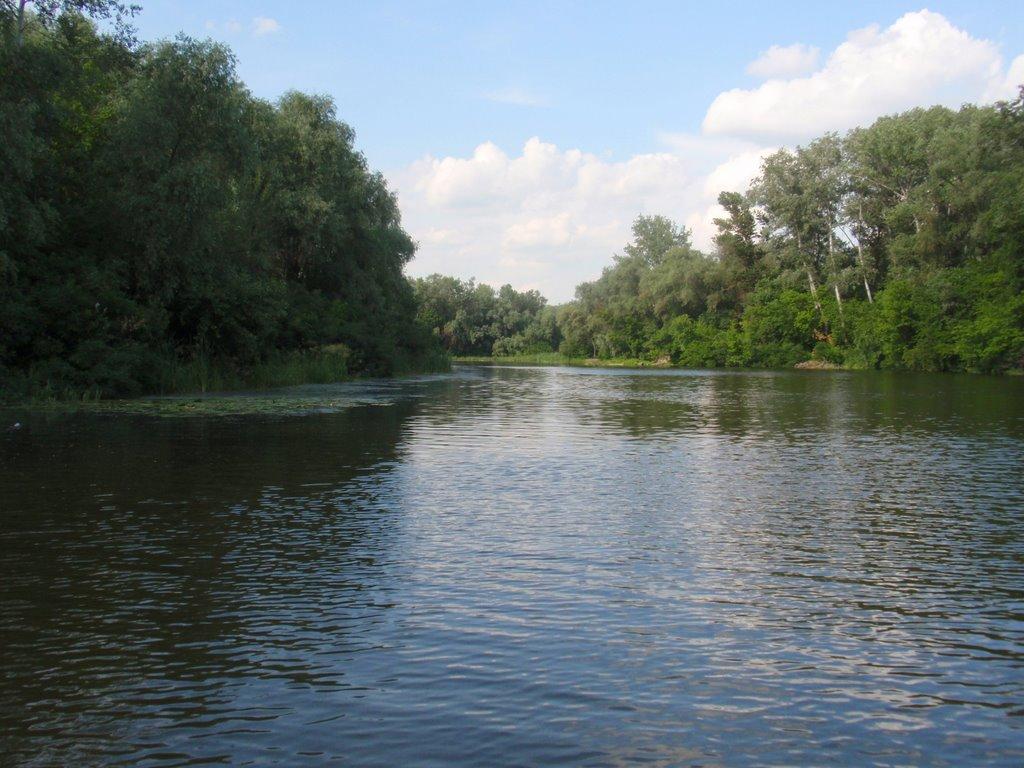 Кияшки з panoramio.com - Кияшки
