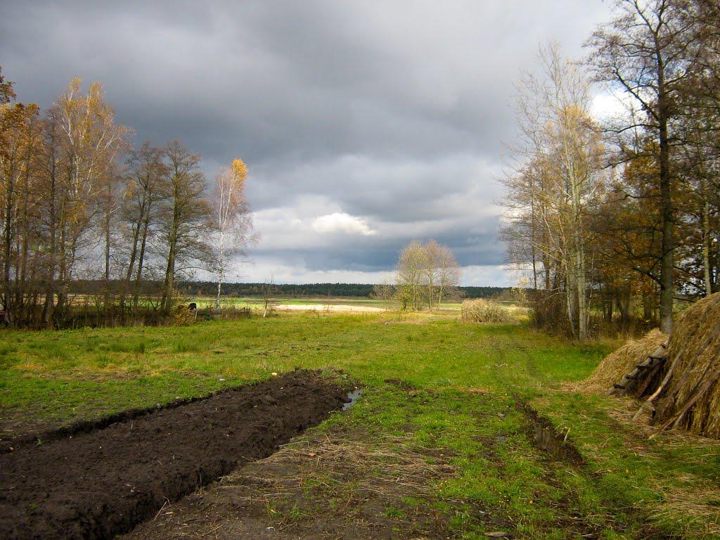 Синове з panoramio.com - Синове