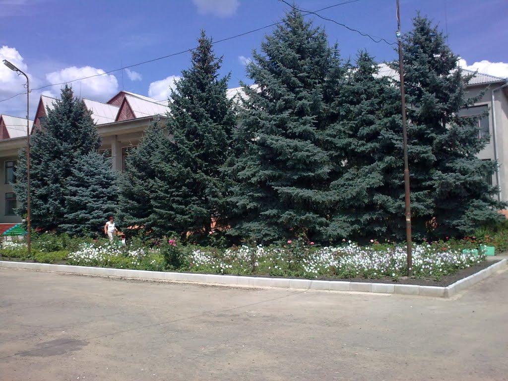 Фрунзівка з panoramio.com - Фрунзівка