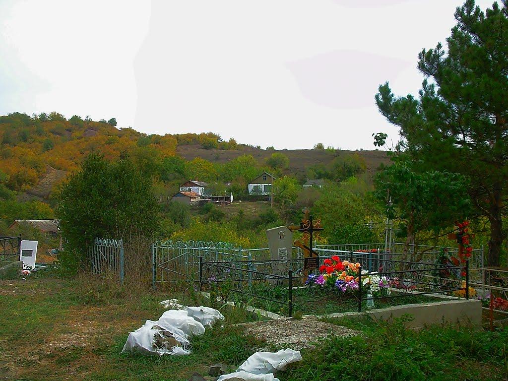 Верхоріччя з panoramio.com - Верхоречье