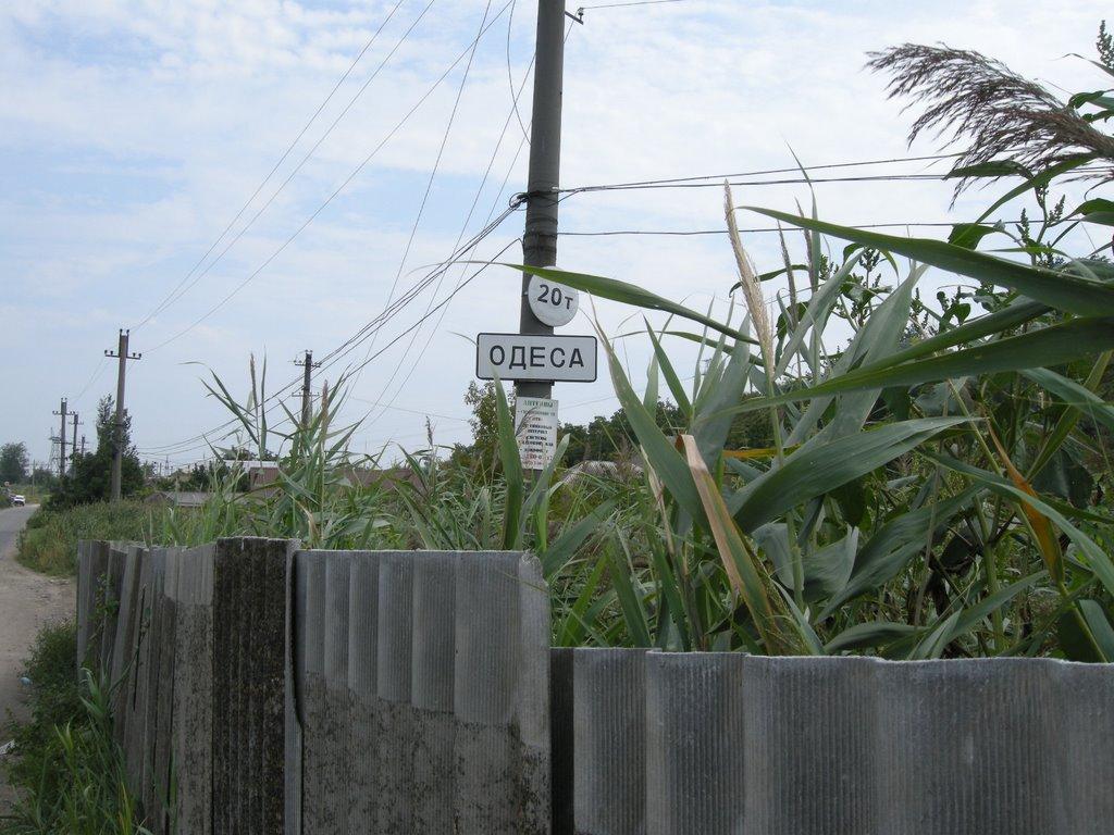Нерубайське з panoramio.com - Нерубайское