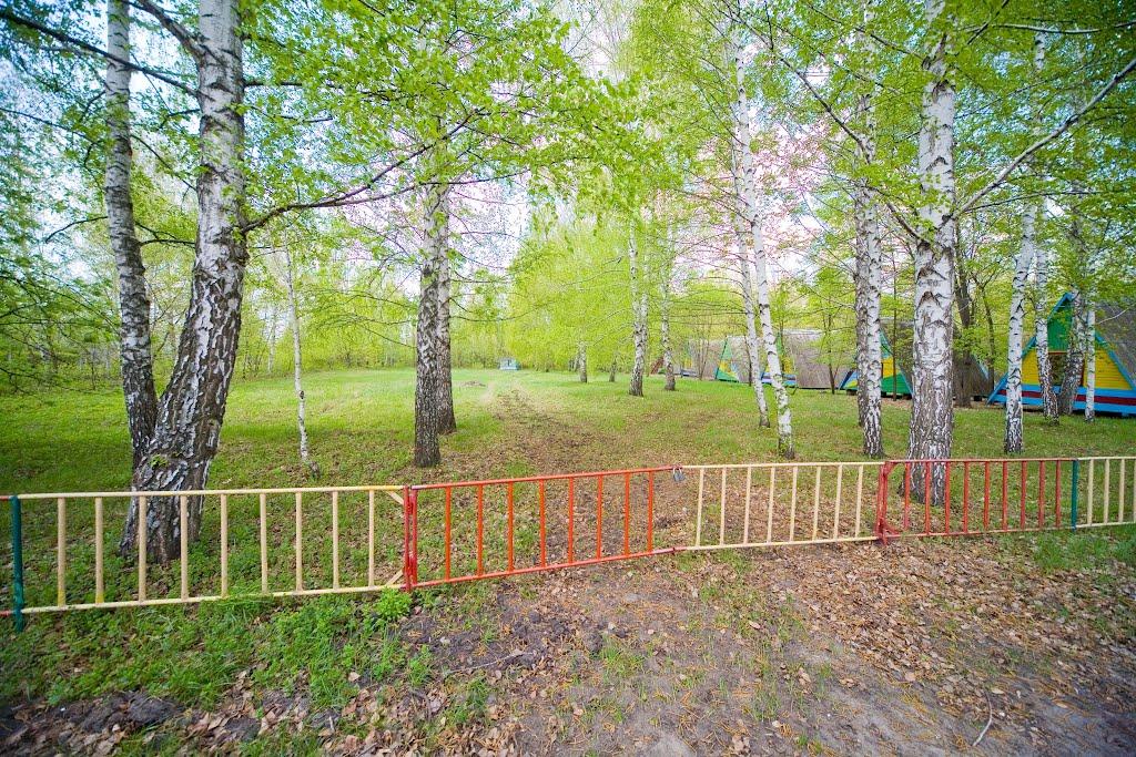 Старий Салтів з panoramio.com - Старый Салтов