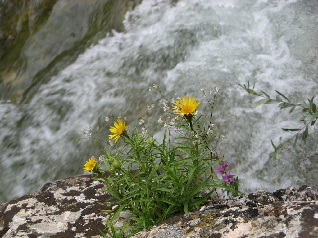 Орлине з panoramio.com - Орлине