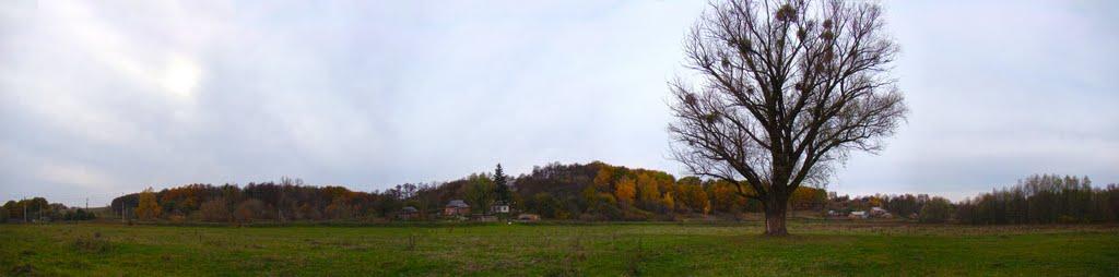 Коржі з panoramio.com - Korzhi