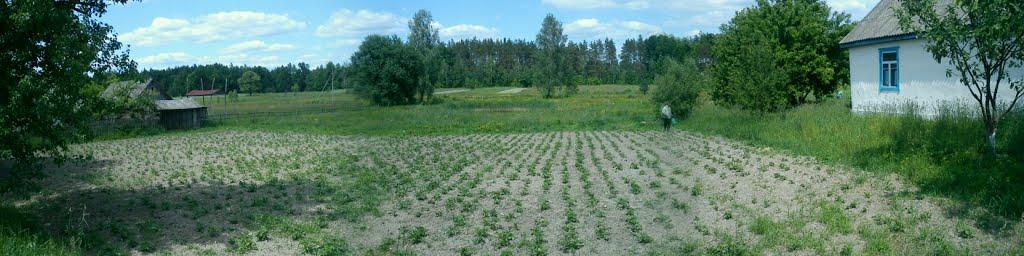 Охотівка з panoramio.com - Охотівка