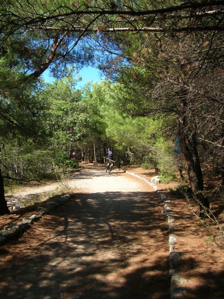 Гаспра з panoramio.com (ч.2) - Гаспра