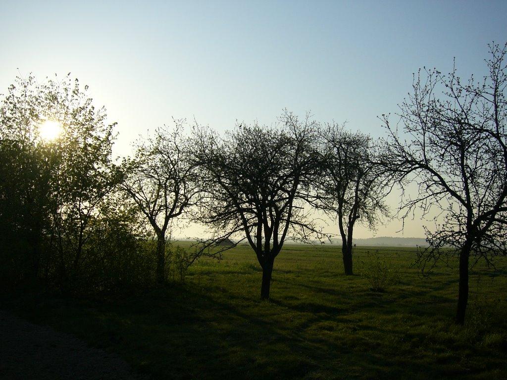 Старі Новаки з panoramio.com - Старые Новаки