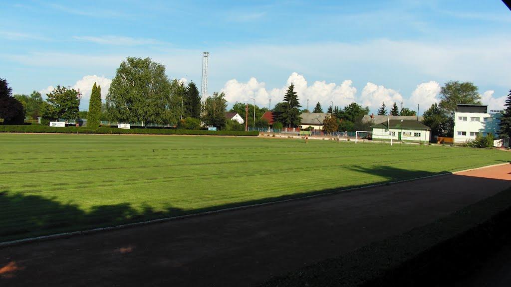 Соломоново з panoramio.com (ч.2) - Solomonovo