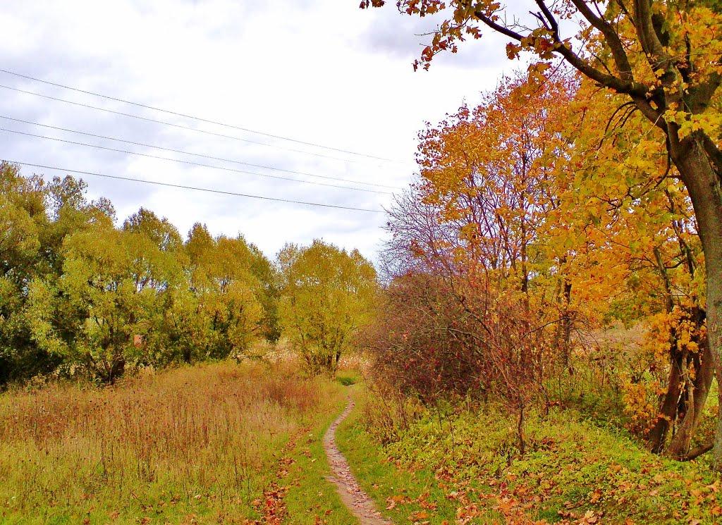 Бережани з panoramio.com - Berezhany