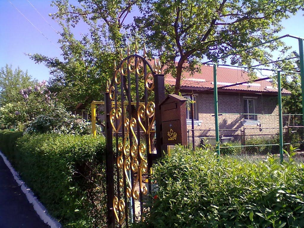 Миколаївка з panoramio.com (ч.2) - Николаевка