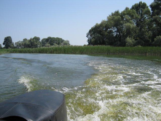 Світловодськ з panoramio.com (ч.2) - Светловодск