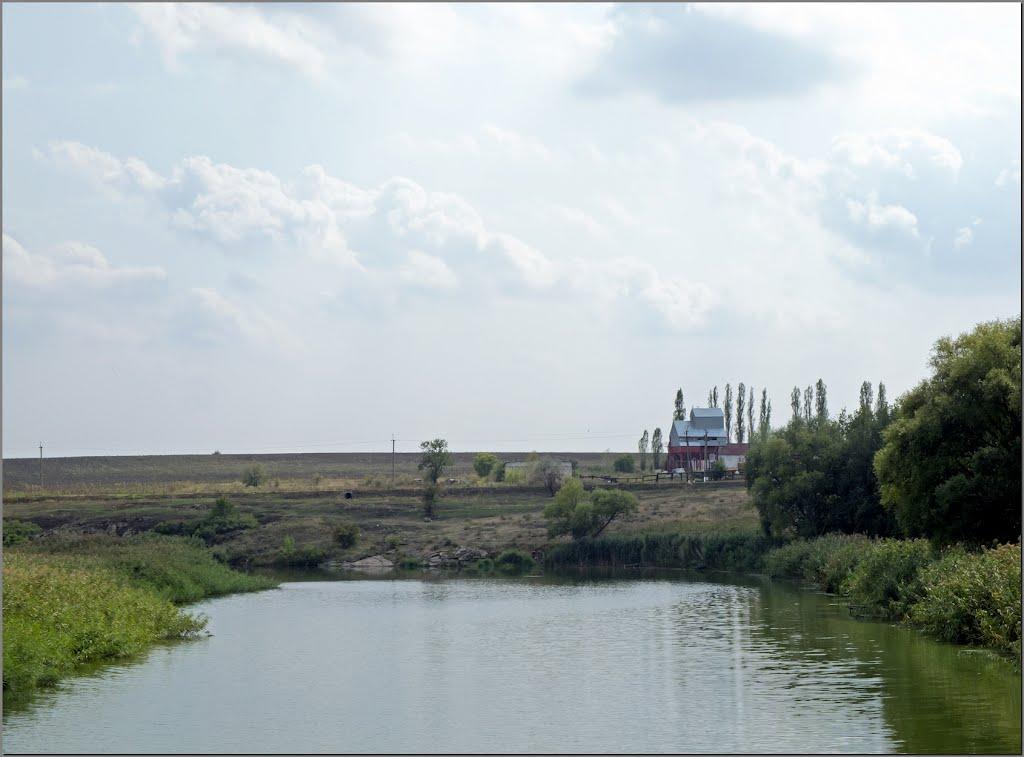 Новомануйлівка з panoramio.com - Новомануйловка