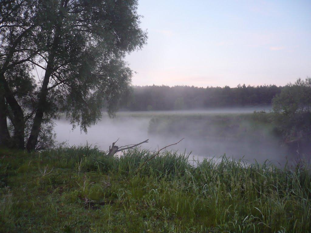 Кам'янка з panoramio.com - Kamyanka