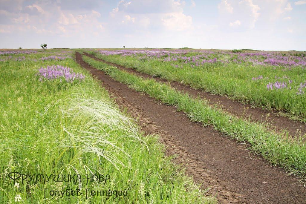 Семисотка з panoramio.com - Семисотка