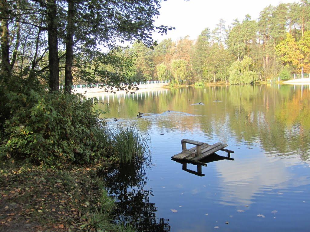 Горенка з panoramio.com - Горенка