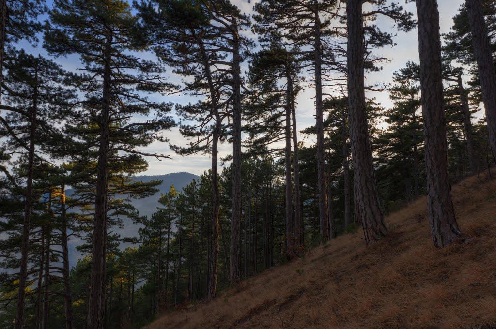 Високогірне з panoramio.com - Высокогорное