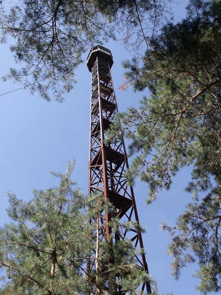 Безлюдівка з panoramio.com (ч.2) - Безлюдівка