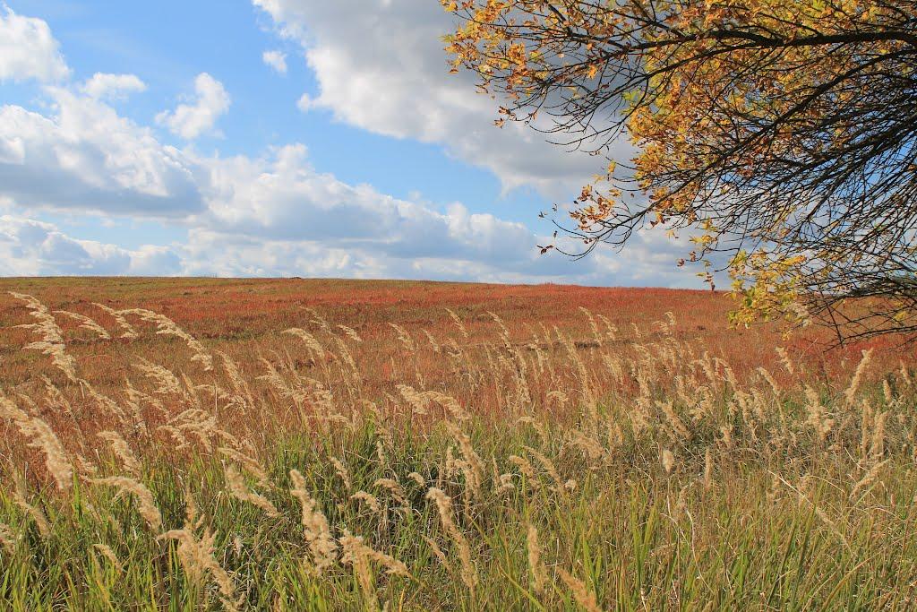 Піддубці з panoramio.com - Піддубці