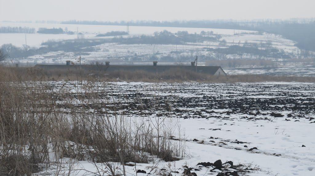 Любо-Надеждівка з panoramio.com - Любо-Надеждівка