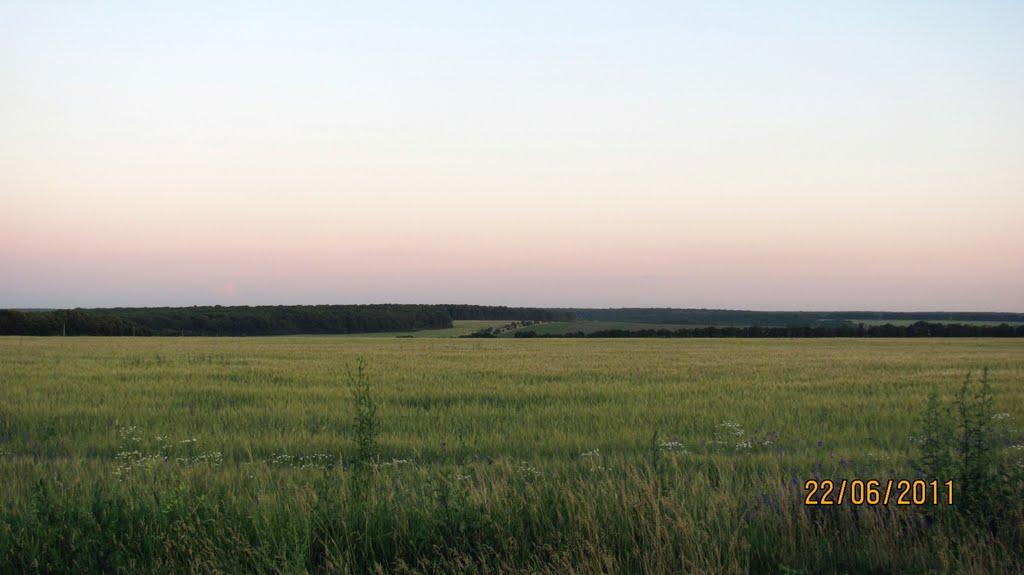 Бабаї з panoramio.com - Бабаи