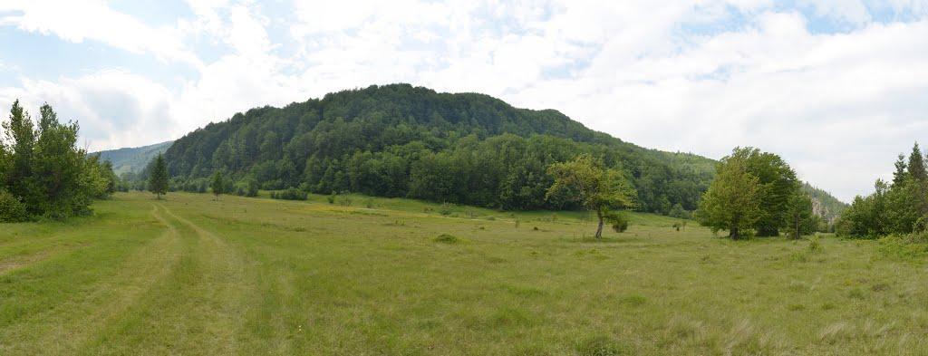 Кринтята з panoramio.com - Кринтята