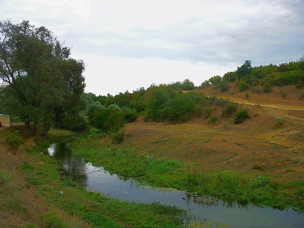 Шевченкове з panoramio.com - Шевченково