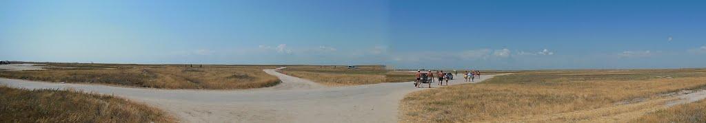 Щасливцеве з panoramio.com (ч.2) - Счастливцево