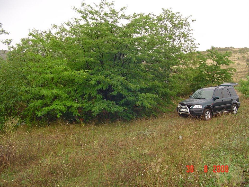 Ширяєве з panoramio.com - Ширяєве