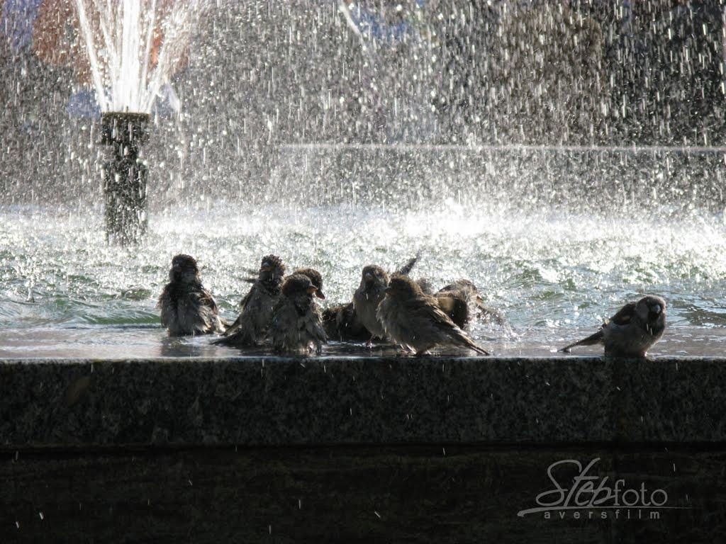 Бурштин з panoramio.com - Бурштын