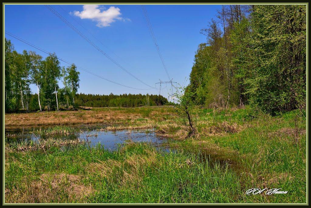 Дронівка з panoramio.com - Dronivka