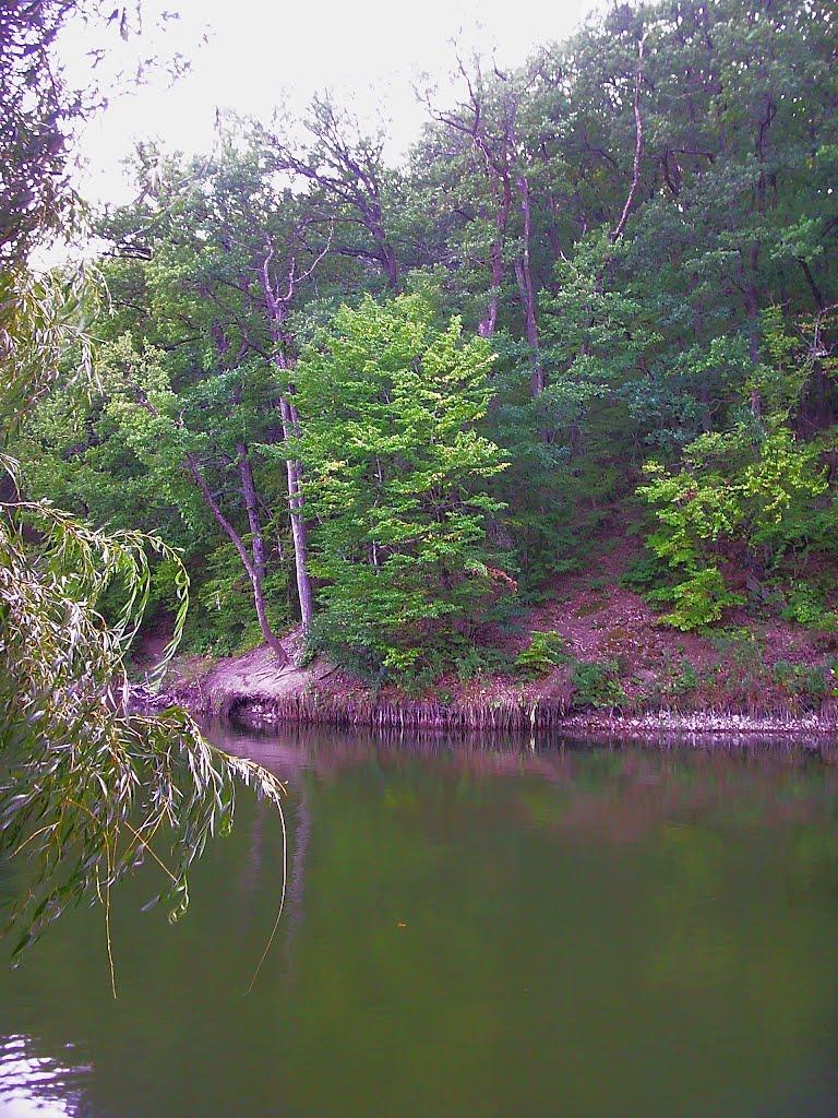 Научний з panoramio.com - Научный